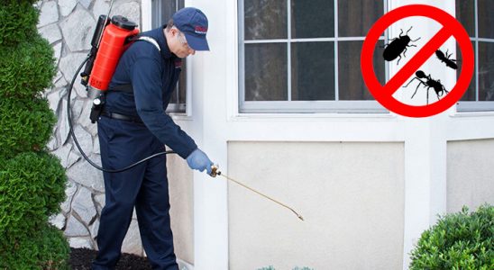 Çandır Kene İlaçlama böcek ilaçlama ve haşere kontrolü — ilaclama-tr.com